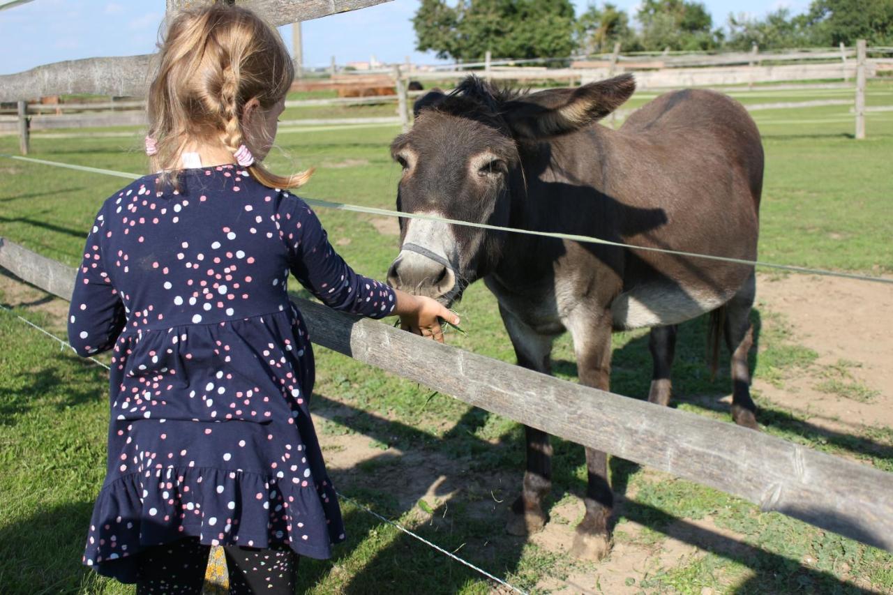 Mělník Zoopark Zelcin 빌라 외부 사진