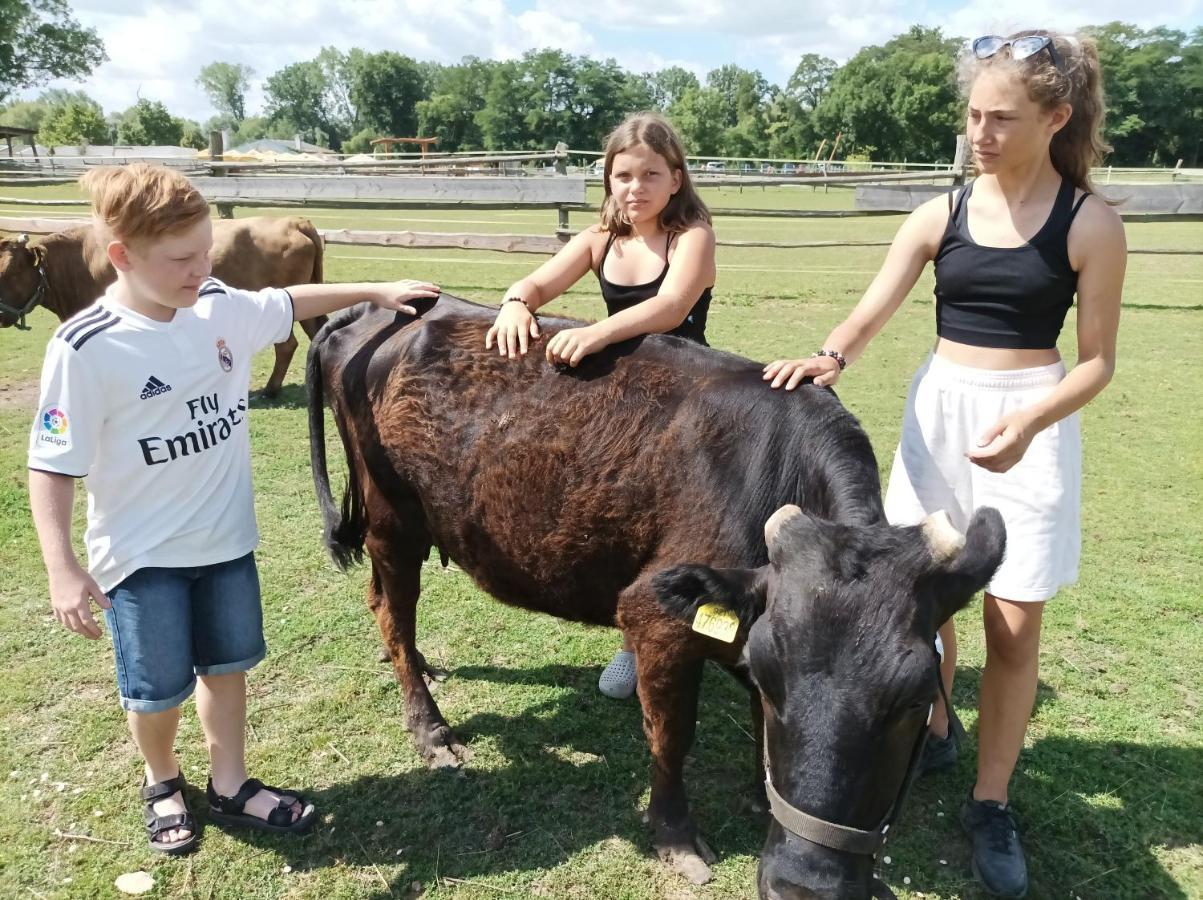 Mělník Zoopark Zelcin 빌라 외부 사진