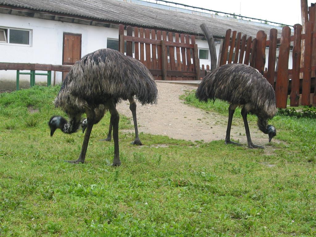 Mělník Zoopark Zelcin 빌라 외부 사진