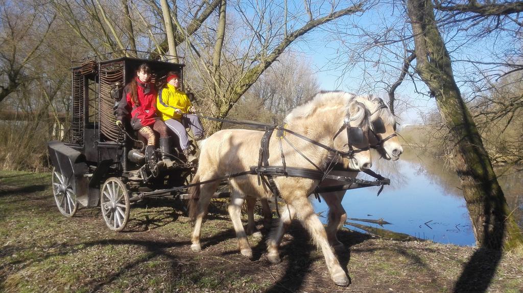 Mělník Zoopark Zelcin 빌라 외부 사진