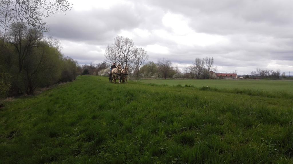 Mělník Zoopark Zelcin 빌라 외부 사진