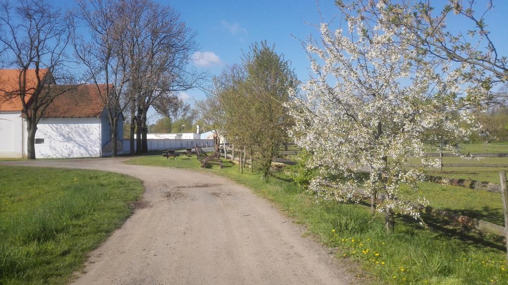 Mělník Zoopark Zelcin 빌라 외부 사진